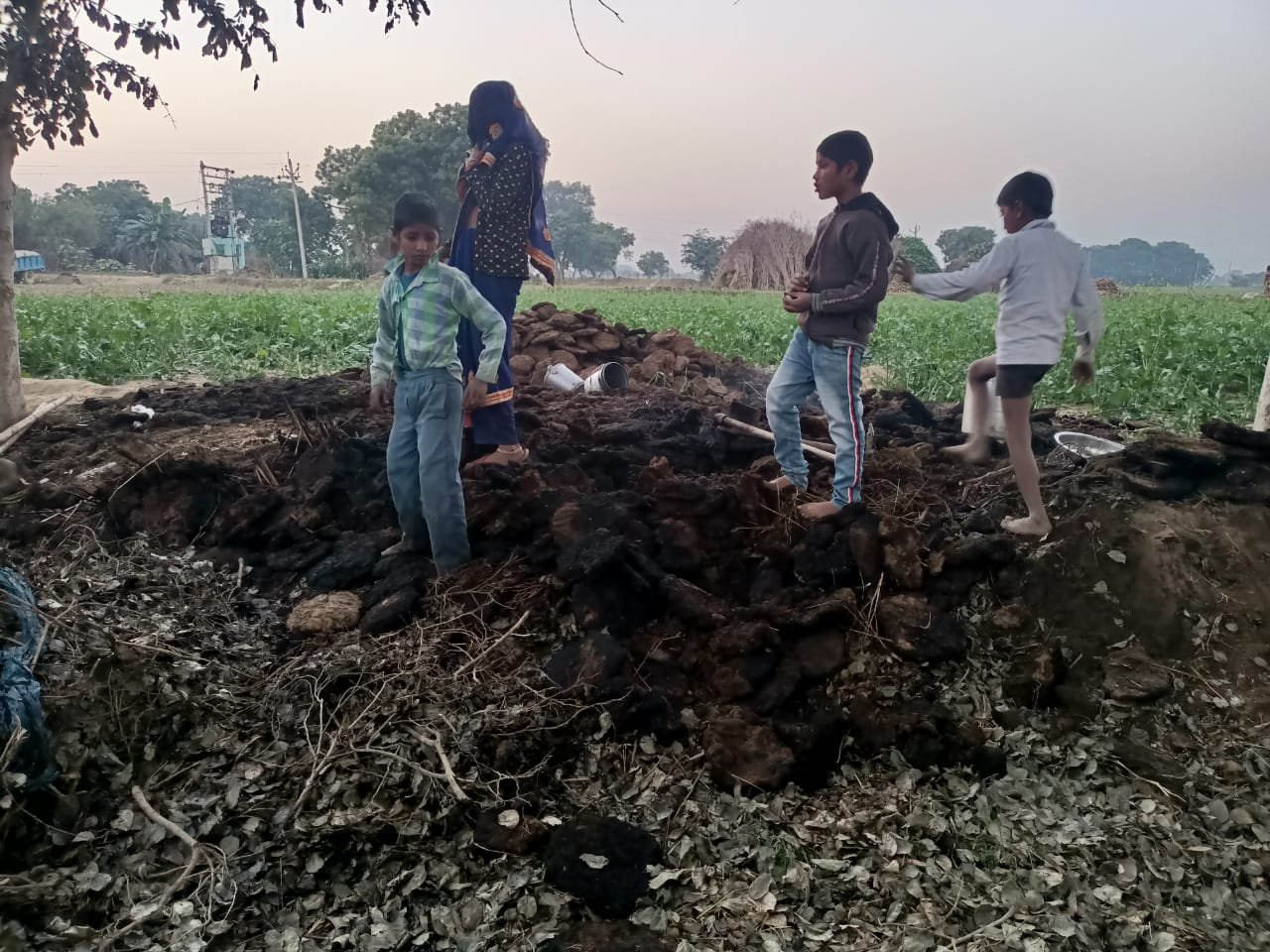 STV News | AGRA उत्तर प्रदेश आगरा में आपसी रंजिश के चलते दबंगों  ने जलाए  कंडे बिटोरे  के...